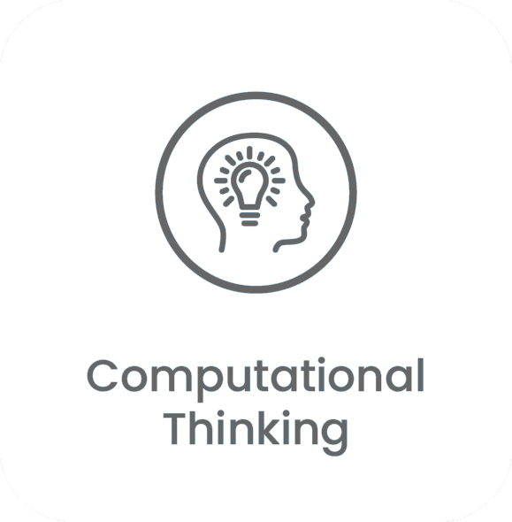 Computational Thinking