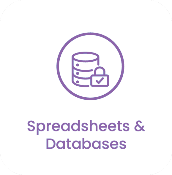 Spreadsheets & Databases
